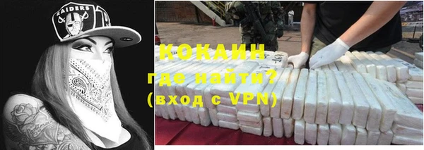 ALPHA PVP Ельня