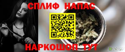 прущие грибы Донской