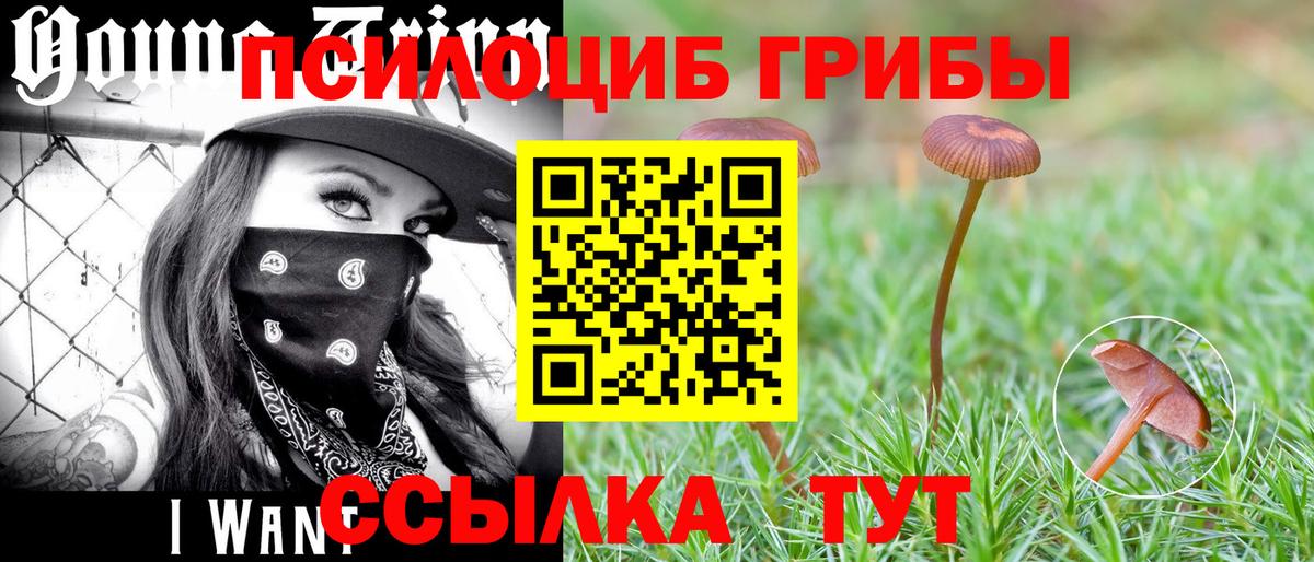 Псилоцибиновые грибы GOLDEN TEACHER Нефтекамск