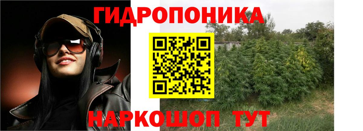 Бошки марихуана сатива Нефтекамск